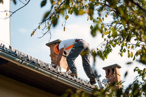 Best Emergency Roof Repair  in Madison Heights, MI