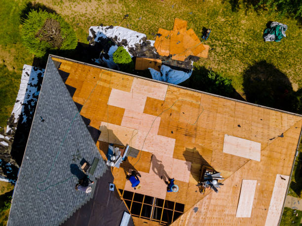 Best Storm Damage Roof Repair  in Madison Heights, MI