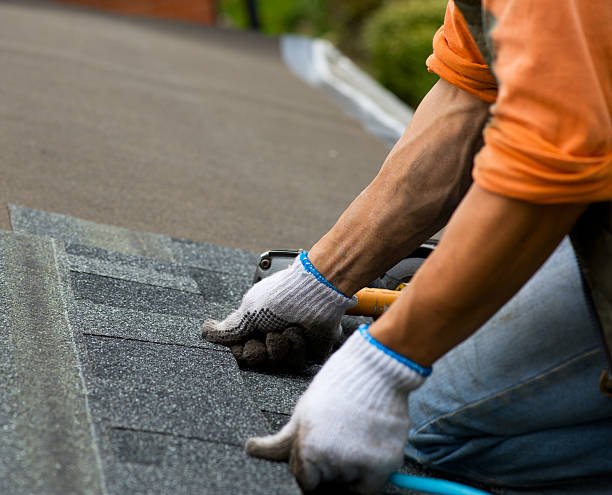 Best Residential Roofing Contractor  in Madison Heights, MI