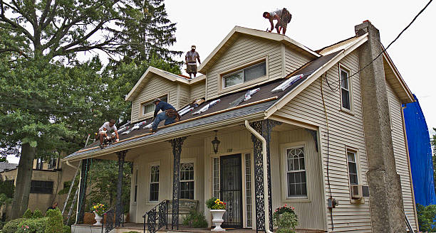 Best Roof Gutter Cleaning  in Madison Heights, MI