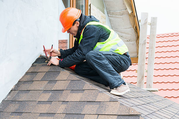 Best Roof Waterproofing Services  in Madison Heights, MI